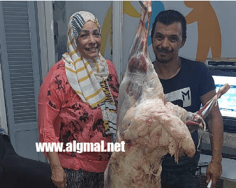 جمعية نور الأمل بالدقى تواصل توزيع الاضاحى على الأسر الأولى بالرعاية