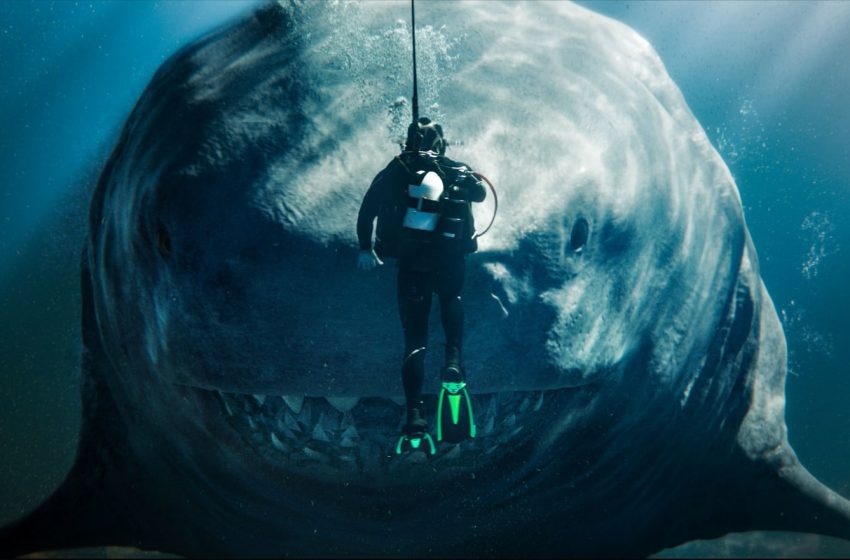 اعلى إيرادات في اسبوع…” The meg 2 “