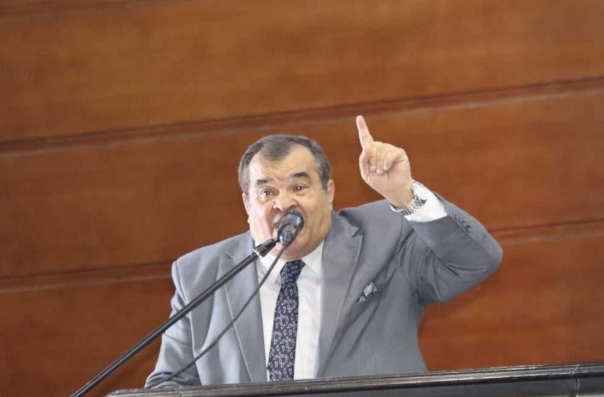 الكاتب الصحفى بالاهرام على الجمال : أطفالنا ملائكة ومهرجان السلام والإنسانية سينطلق فى الدول العربية واولادنا حماة الاوطان