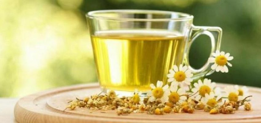 فوائد اليانسون: اعرف فوئد اليانسون في الصيف